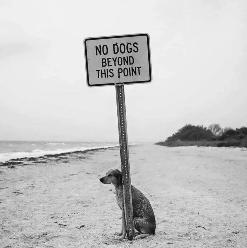 It is true that people go to a lot of trouble in order to be unhappy. But are they?